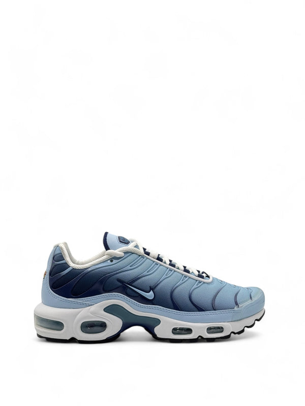 Nike air max plus celestine blue